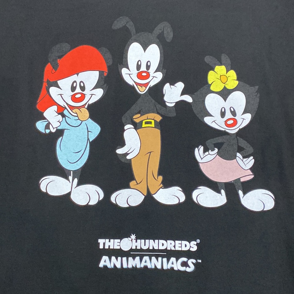 The Hundreds X Animaniacs Long Sleeve Black T-Shirt - 2XL - Picture 6 of 11